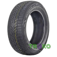 Doublestar WINTERKING DW08 155/65 R14 75T
