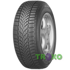 Diplomat Winter HP 195/65 R15 91H