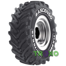 Ascenso XLR 880 (с/г) 600/65 R28 154D