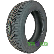 Point S Winter S 195/65 R15 91T