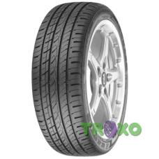 Hercules Raptis WR1 205/45 R17 88W XL