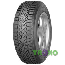 Kelly Winter HP 195/65 R15 91H