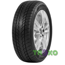 Davanti Wintoura 195/65 R15 95T XL