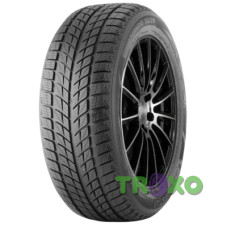 Doublestar WINTERKING DW09 215/45 R17 91H XL