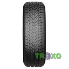 Paxaro INVERNO 195/55 R16 87H
